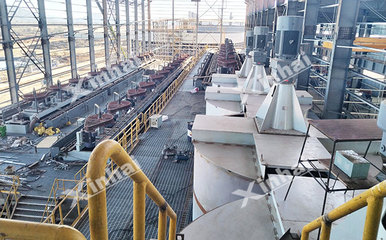 新型含铜钼矿选矿工艺有哪些?